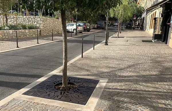 De belles grilles d'arbre racines à Beaulieu-sur-mer (06) De belles grilles d'arbre racines à Beaulieu-sur-mer (06)